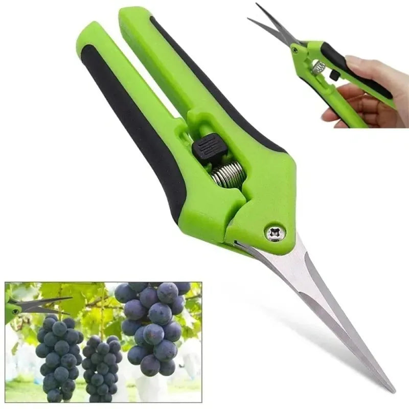 6.5'' Straight Elbow Stainless Steel Shears for Pruning and Trimming,HH-AA57