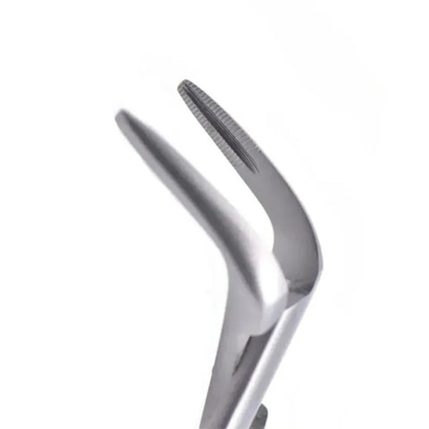 Curved Oral Surgery Forceps-2