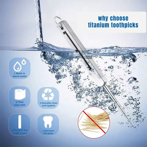Titanium Toothpick with Case-3