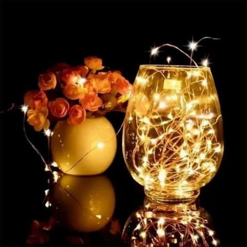 LED Wire String Lights-3