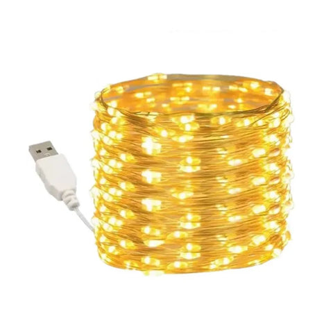 LED light string copper silver wire-6
